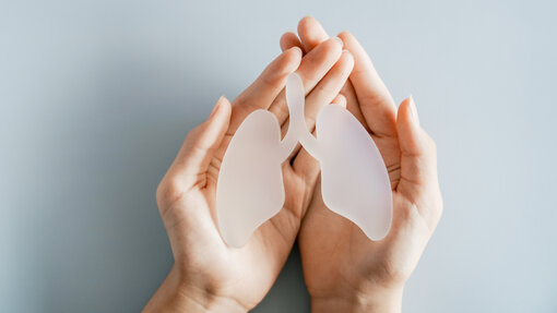 Zwei Hände halten eine stilisierte Lunge aus Milchglas